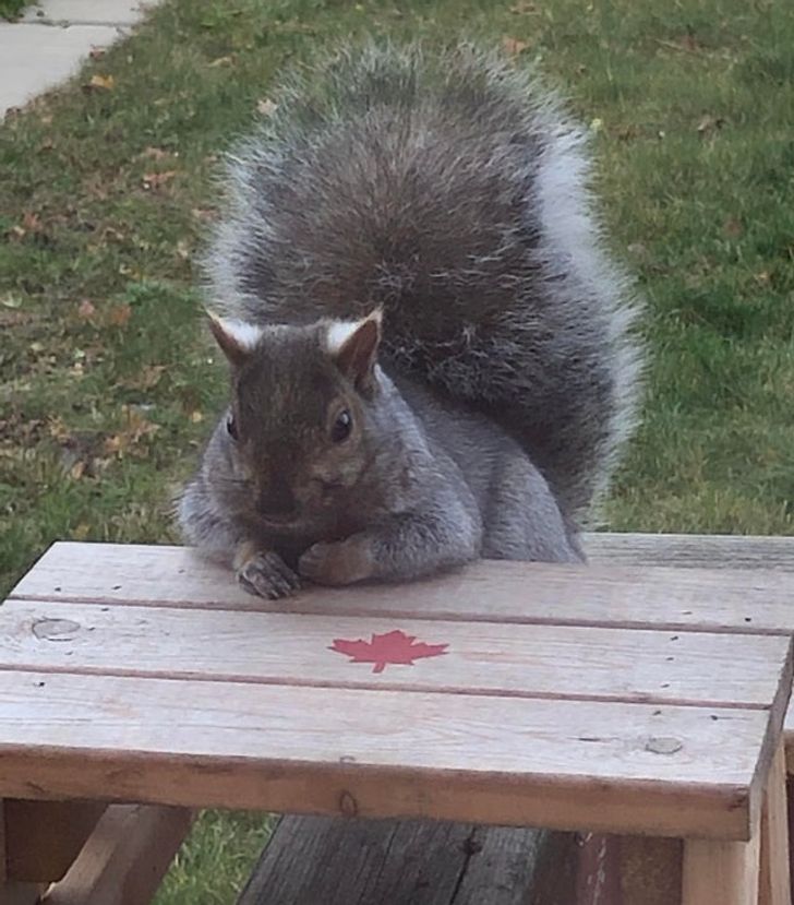 069fed54b4a324461e4dc6fe71