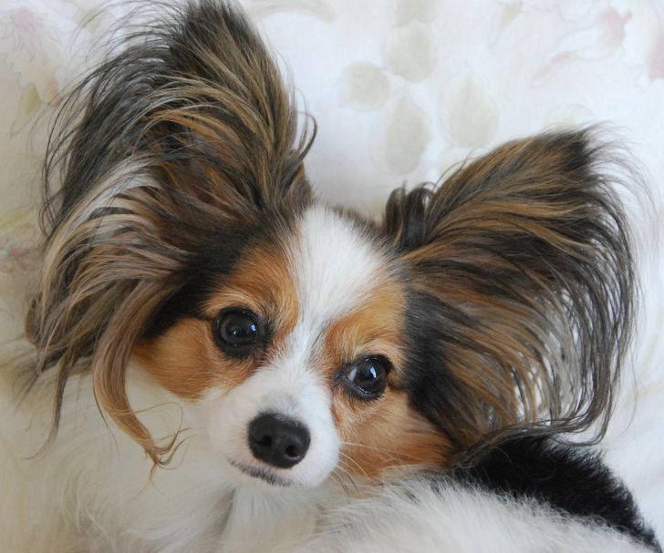 06a372543a8a2e503aed338251