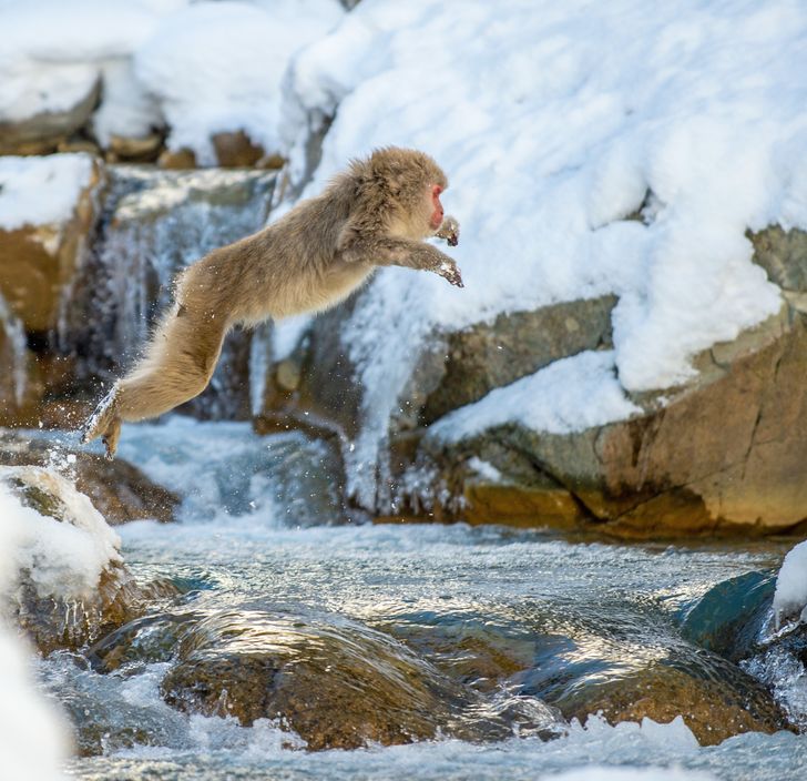 06a9995b4b9ea7d016465f48dd