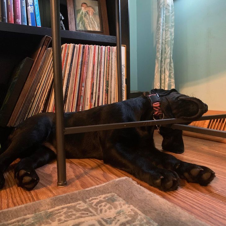 06ad0d5a269cffee8a3c15d659 06ad0d5a269cffee8a3c15d659