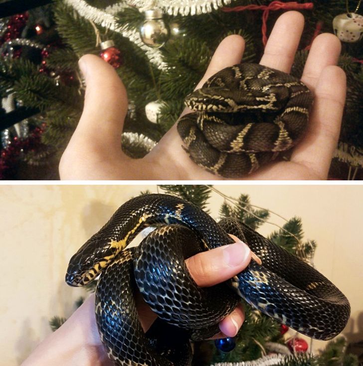 06bc2c54679de10aeda39d10df