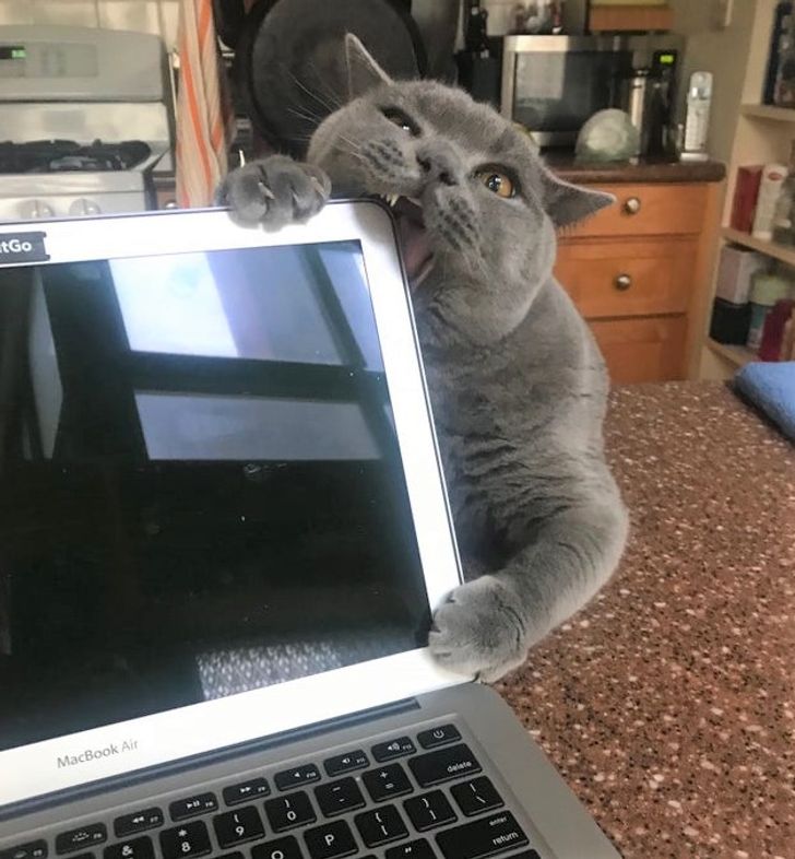 06c65e5feda2c3da6118cacaf7