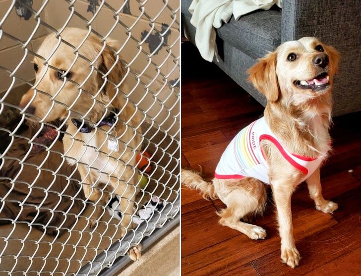 06c80556de97568327fcb51230