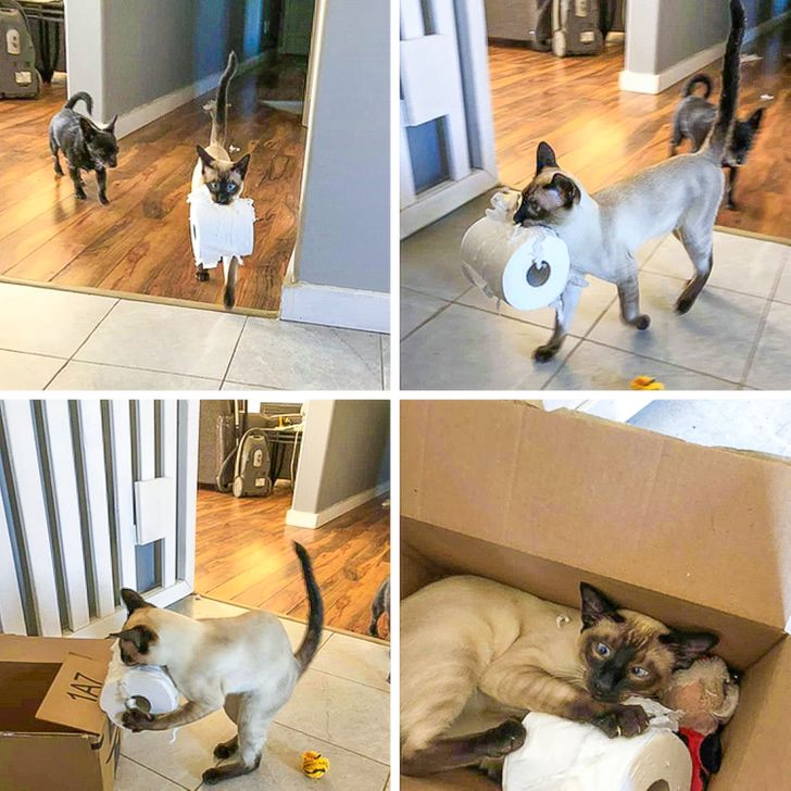 06c9655a0e9aee98695d51e179