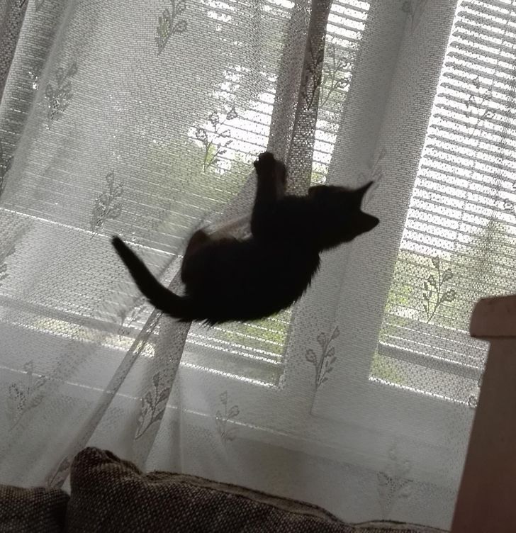 06dfd452a49a093db481efd911