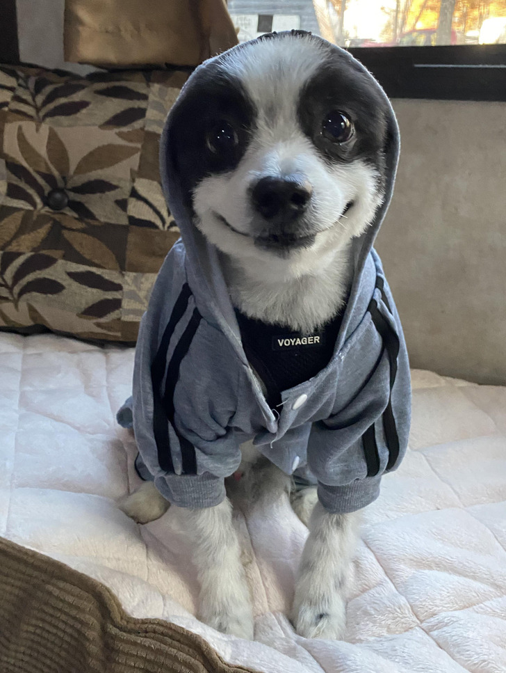 06ea9157cead6ba2b2820bfa1c