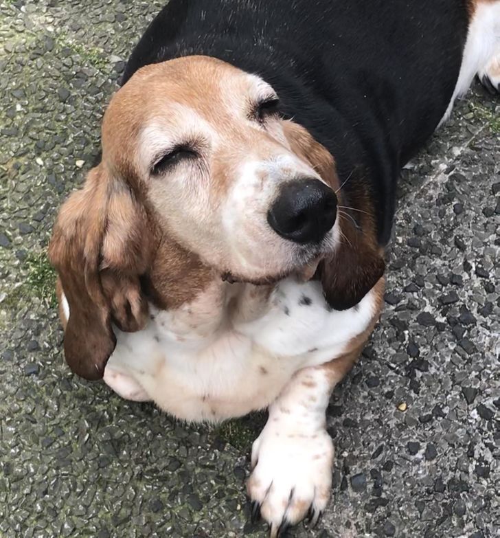 06ecf15c68bc15a6d1b093a782