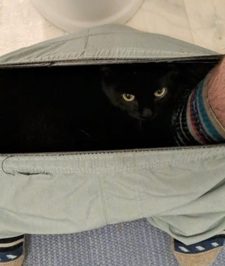 06f23b51baa8ed7a201d650b82