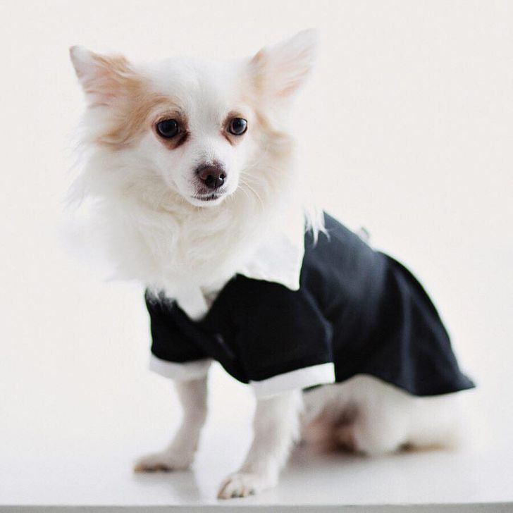 07027a5d898ad84995d317b79e