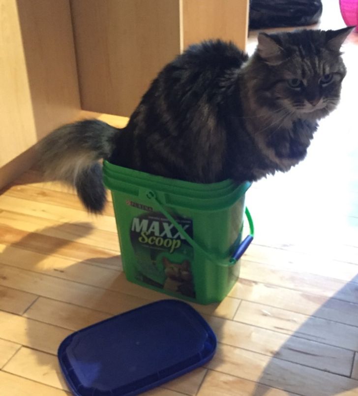 0707f35dbeb2ad9def516b77cb