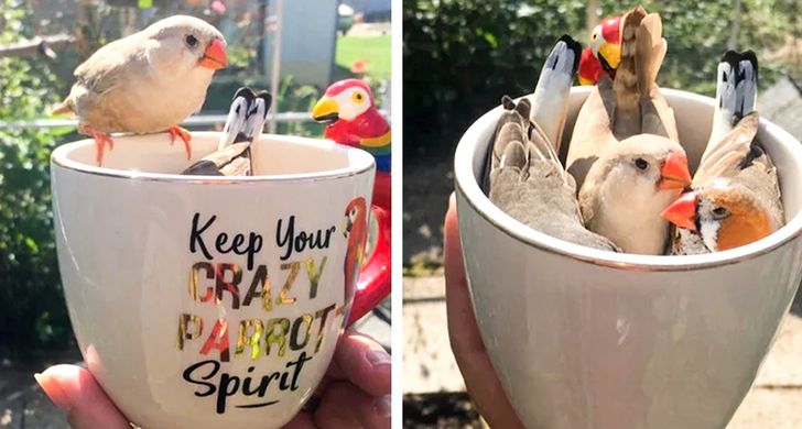 070a0d5330afcf4db49383de39