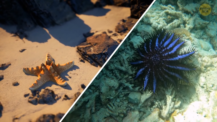 070b465c11b4425fd210cfc600 070b465c11b4425fd210cfc600