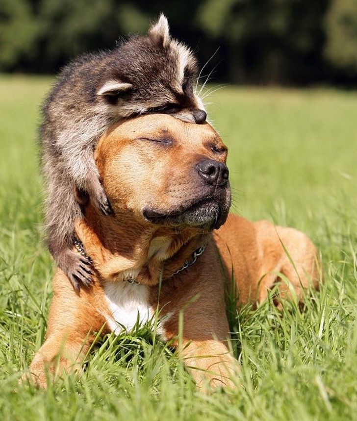 070fba5b349f0d53c5a400e5a7