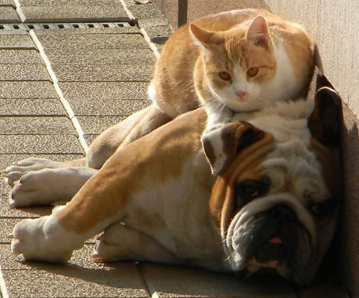 071a9d5d99bf53ffe3688d9cbe