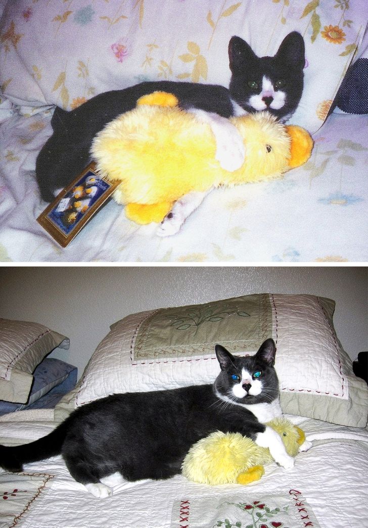 071be953329027135b8c278f95