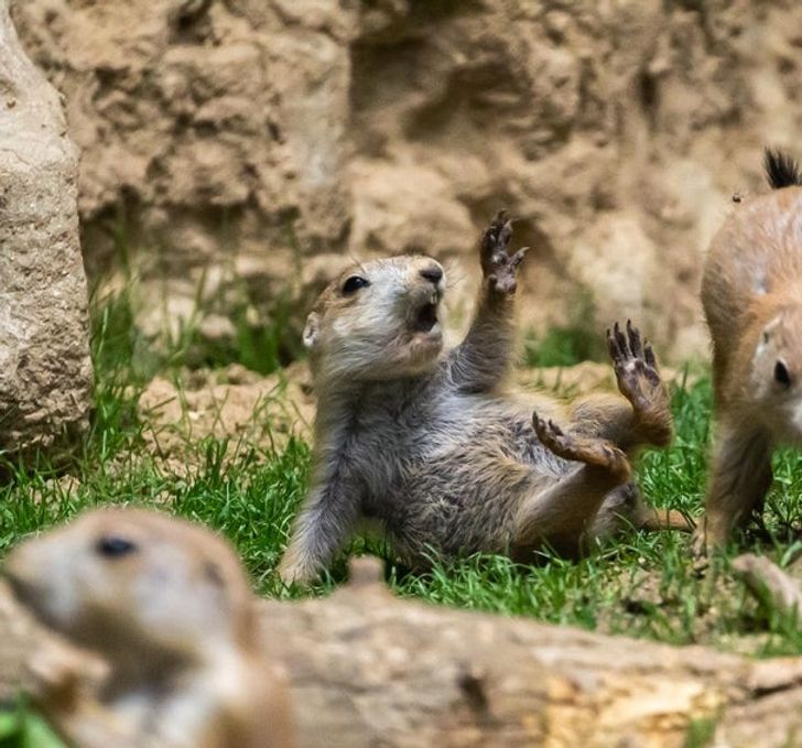 072c315572a174c9ca2c944837