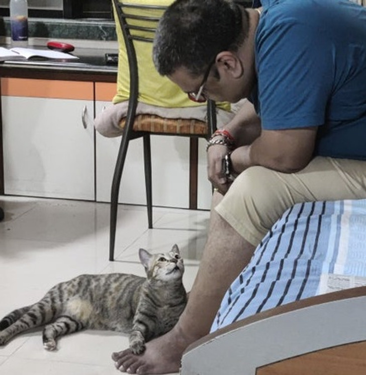 072e99552f930e47bf2c9aec66 072e99552f930e47bf2c9aec66