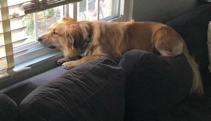 07326b5cec9c980f97702216c2