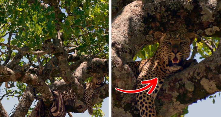 0739d45729978995a2cb6c247d