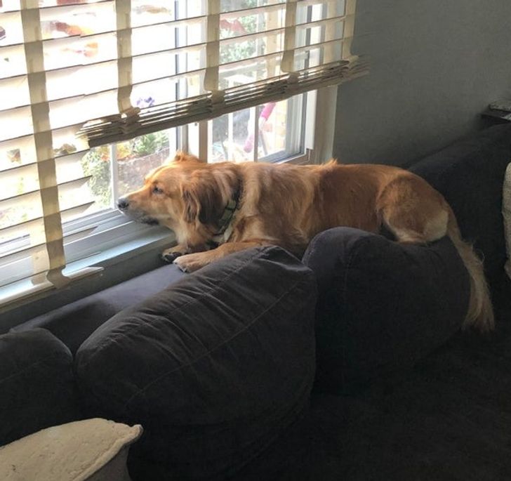 073f0a5ece878a10b92ac1a031