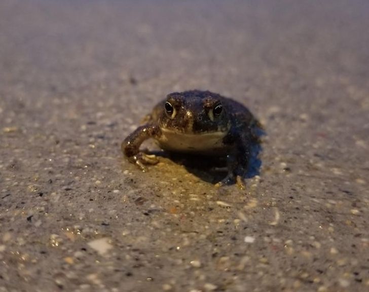 0740e751cdaee98912be4bd627