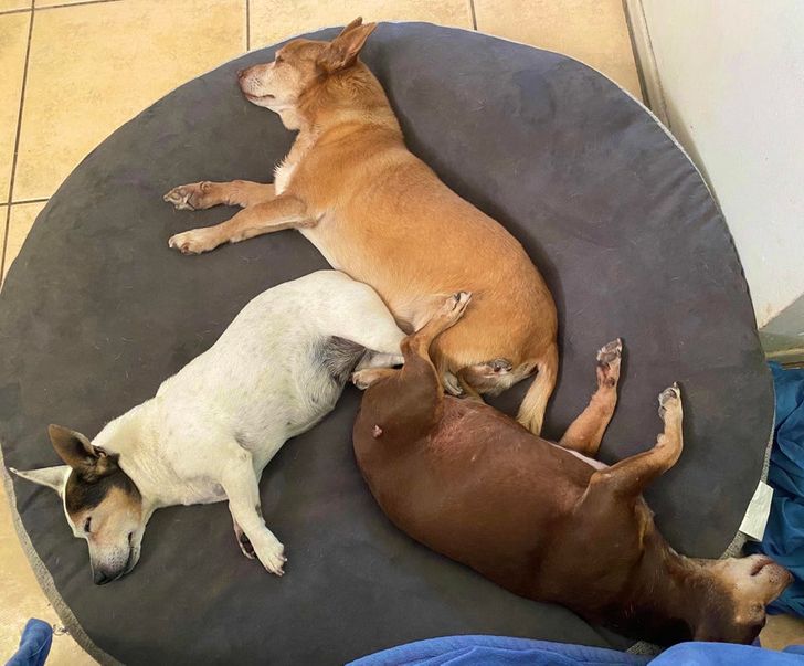 0740f35547b4da6c8f1431fba2