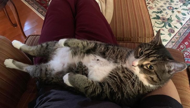 074258550a86f8a13d544e30ef