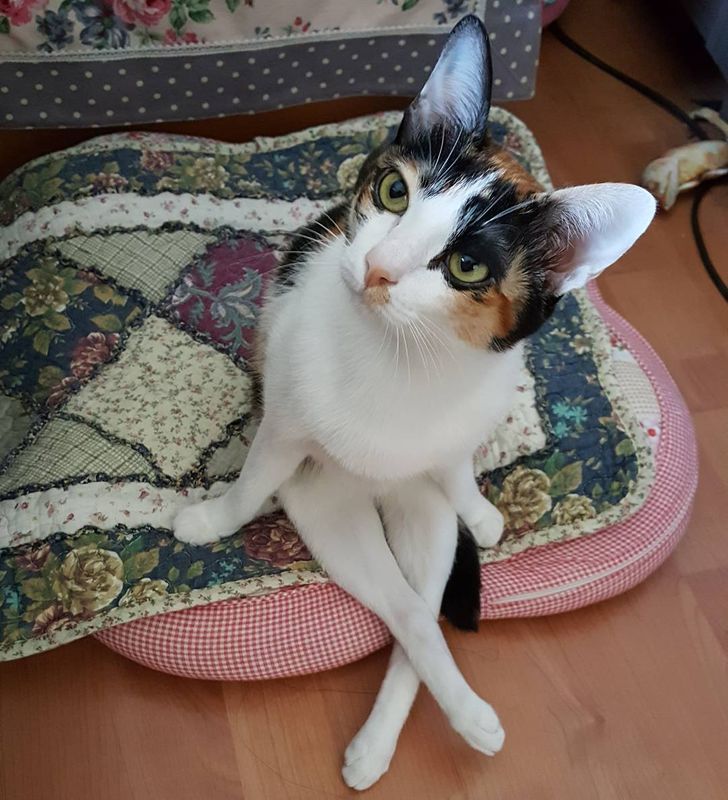 074b1a5ff3bd975eb114169f3b