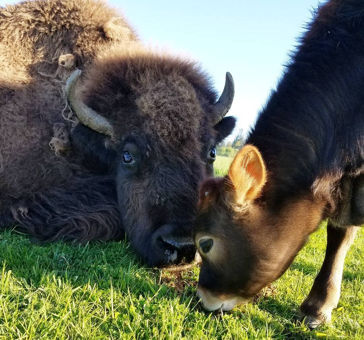 075e485c5abd94773259ef26be