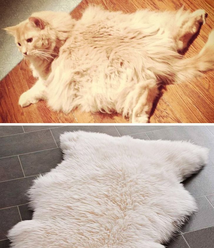 076a8f5a3d84ebff05f821cbc7