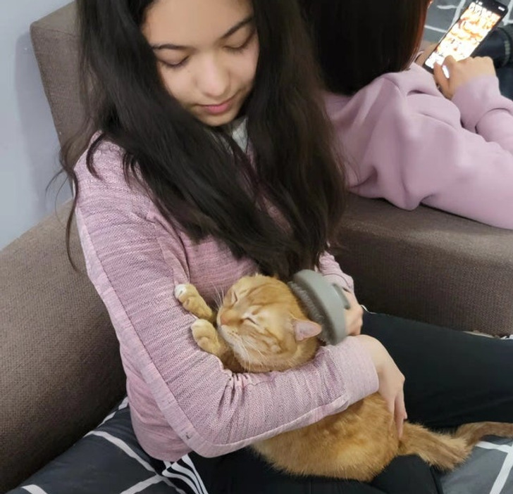 076de758759fed98b0d6c78ab0