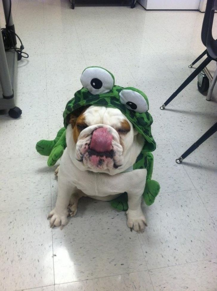 0771735efb97875cd8f3432942