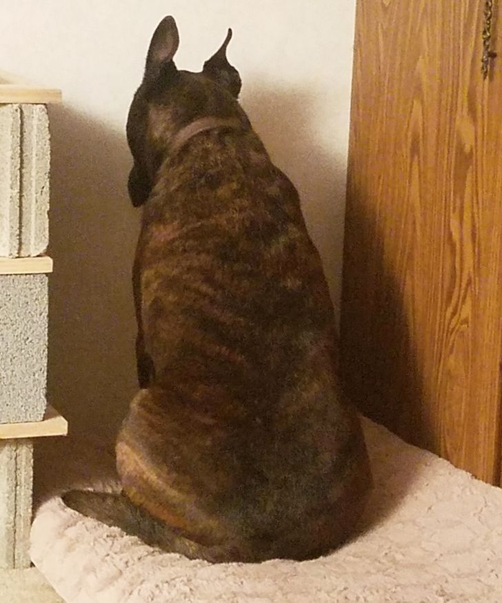 07752057d58646b4bb2f88b260