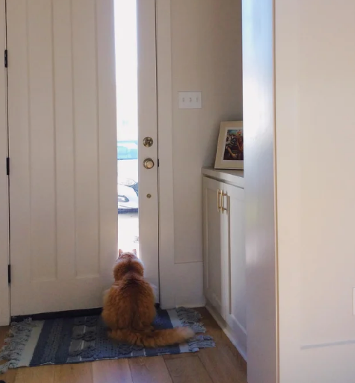 0776ab57969c8259b4cc259151