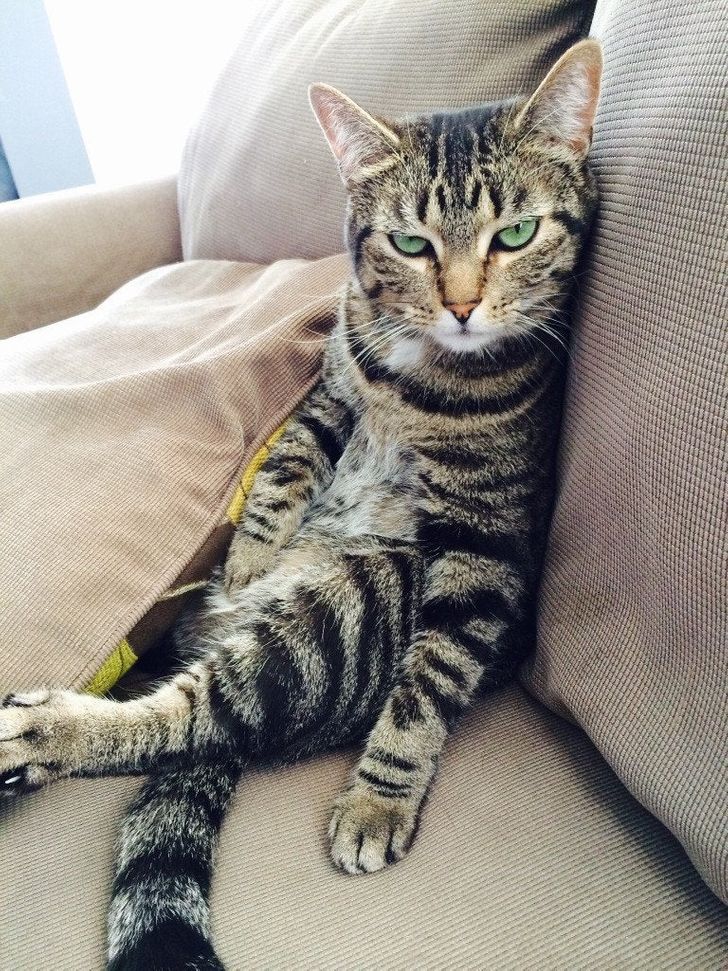 0776d752d8ac2b83a5edc01a12