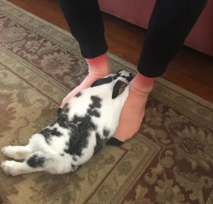 07832852b59133801905ffff6f