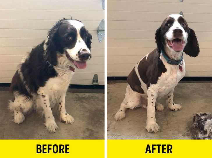 07873d5dbda15e7ef11c5967e0