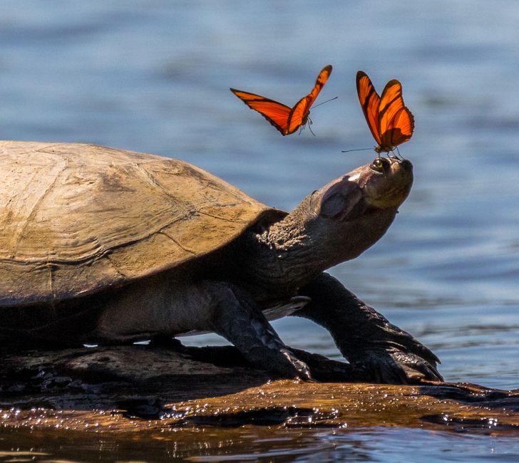 0788e95620936d9953b1af26f0