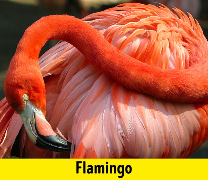 078b3952f78baf2146d99ec566