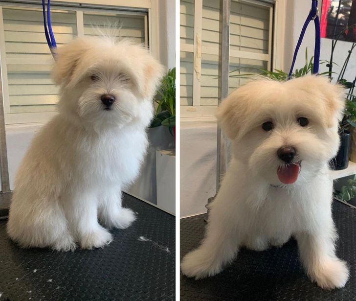 0793c75b549863ffa4d772e27c 0793c75b549863ffa4d772e27c