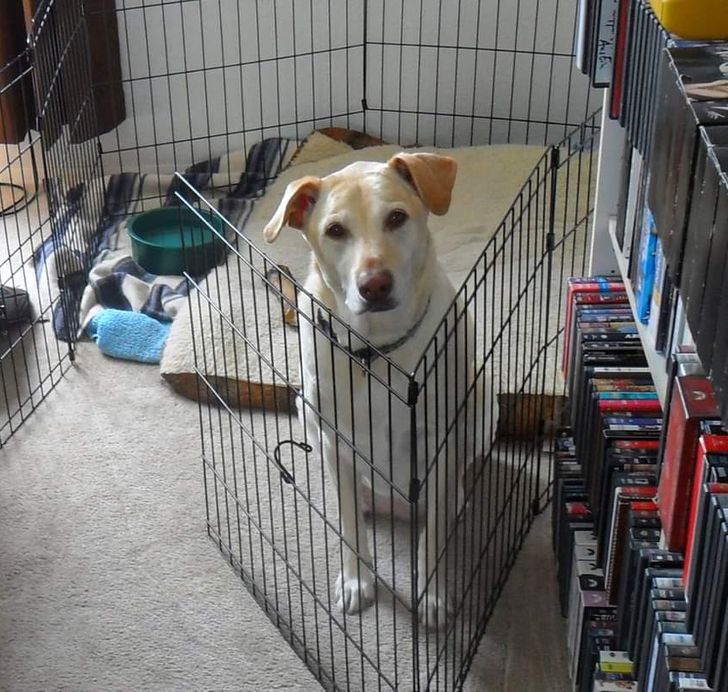 07972a5bf289eed4b23e7f1093