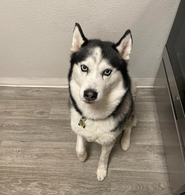 0798475eb089ab11ab15099660