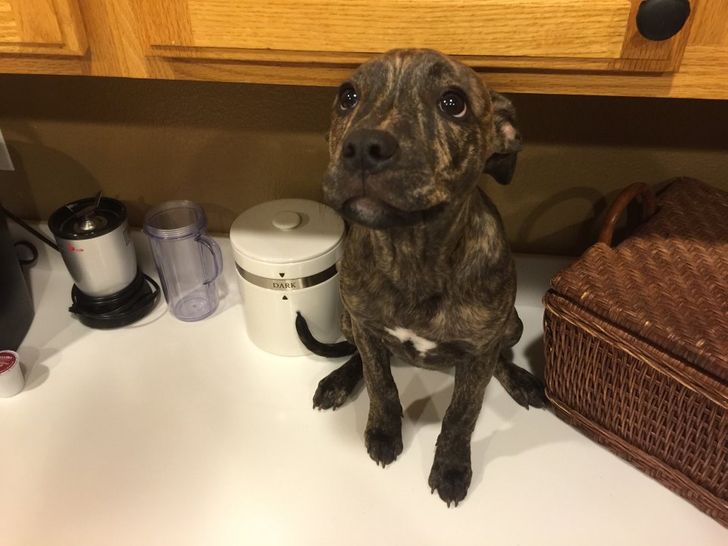 079be7554192d1d72d035525dd