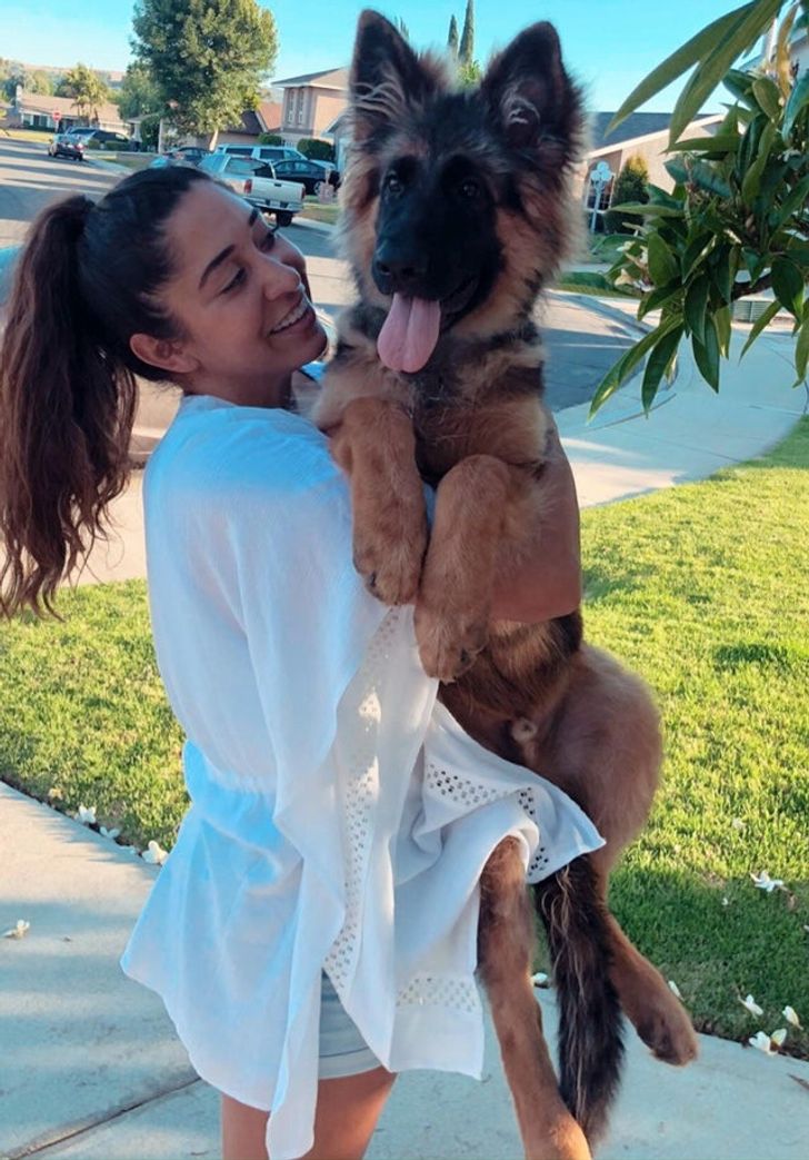 079c205950814f5cc5da584877