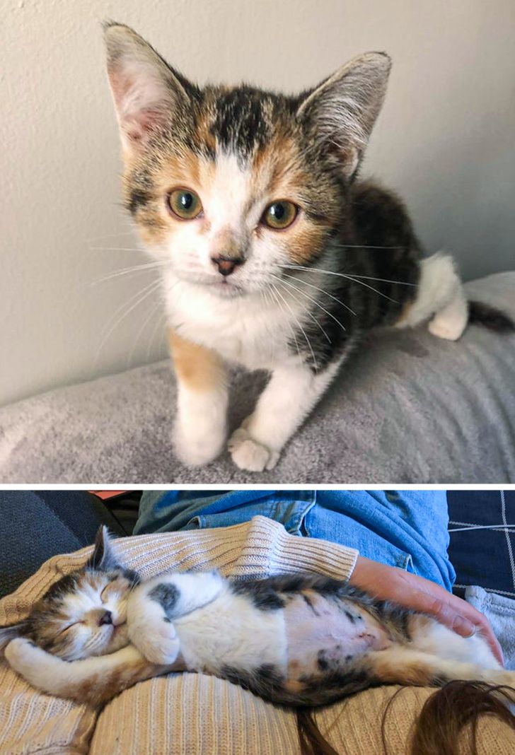 07a22457f98fd3cdb2b28eb18a