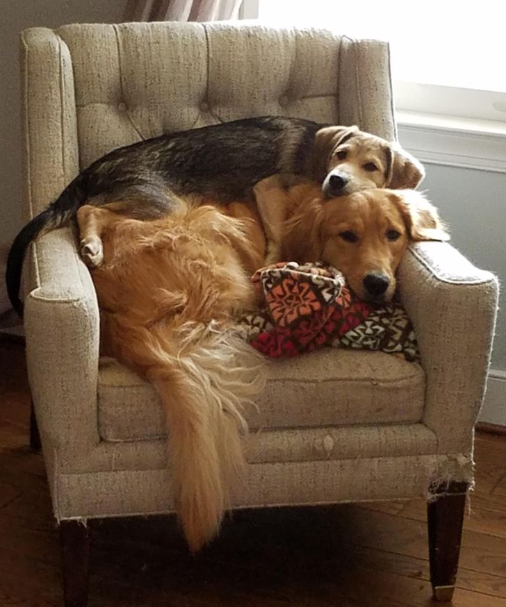 07a91555bdae338e67917709cb