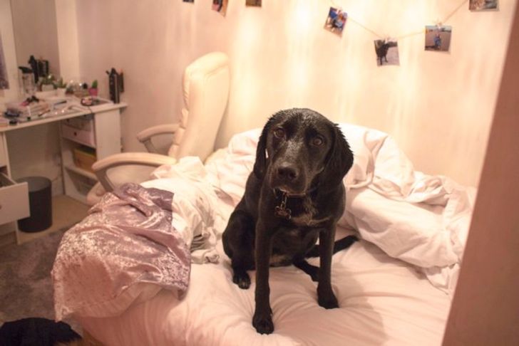 07ac065669932b351303f59eb0