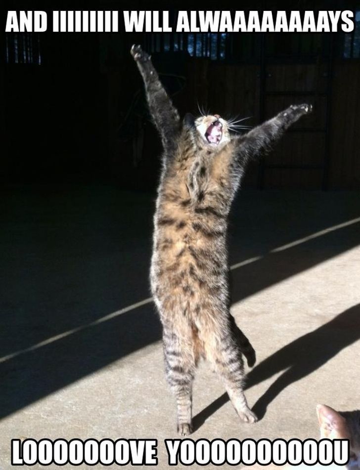 07c0d8535696ab862c4fcb4197