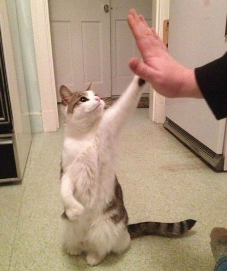 07c30f5dbf8ba7c7574cc0c6be