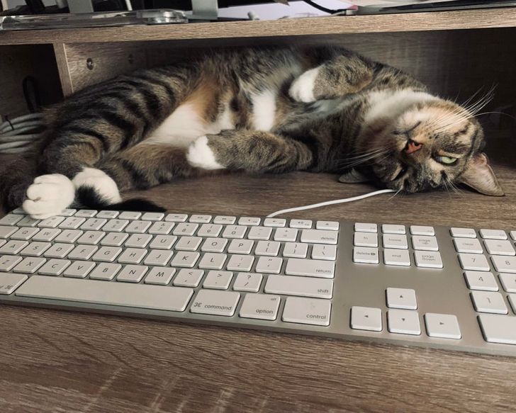 07c839595e9f15254d1e11408b